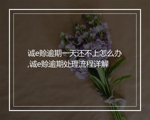 诚e赊逾期一天还不上怎么办,诚e赊逾期处理流程详解