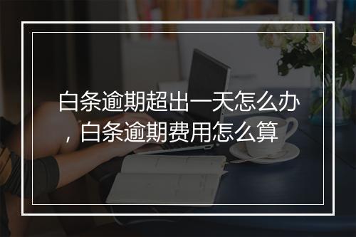 白条逾期超出一天怎么办，白条逾期费用怎么算