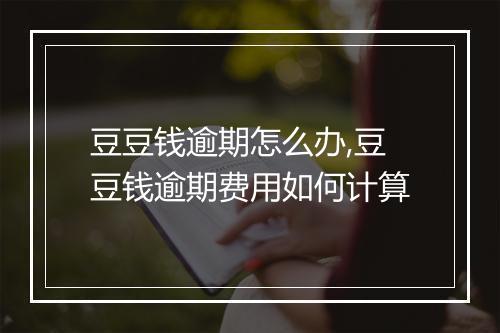 豆豆钱逾期怎么办,豆豆钱逾期费用如何计算