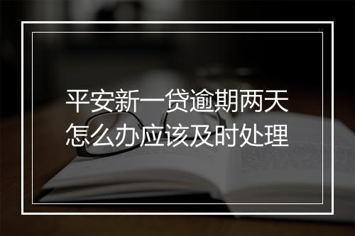 平安新一贷逾期两天怎么办应该及时处理