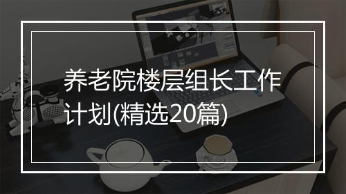 养老院楼层组长工作计划(精选20篇)