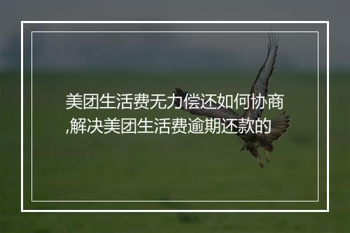 美团生活费无力偿还如何协商,解决美团生活费逾期还款的