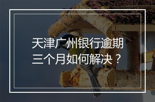 天津广州银行逾期三个月如何解决？