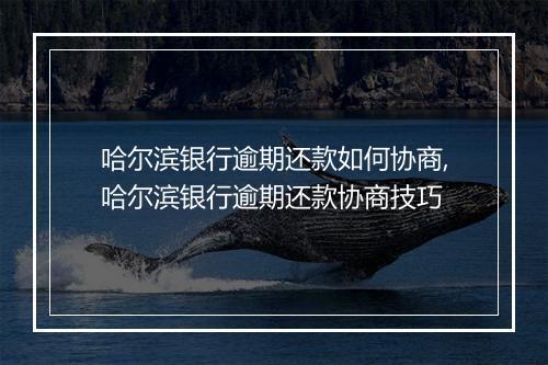 哈尔滨银行逾期还款如何协商,哈尔滨银行逾期还款协商技巧