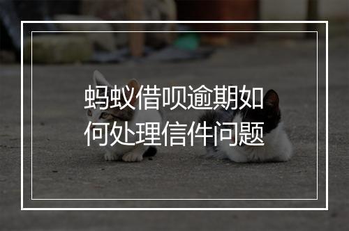 蚂蚁借呗逾期如何处理信件问题