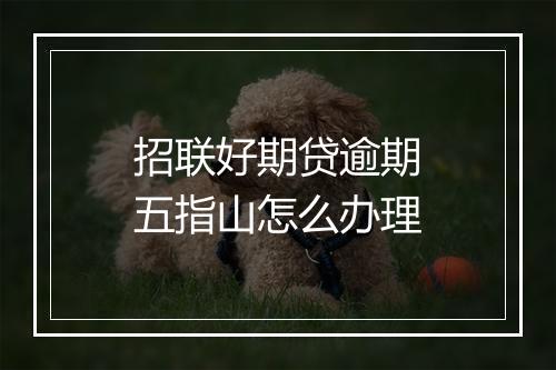 招联好期贷逾期五指山怎么办理