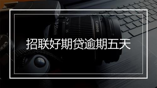 招联好期贷逾期五天