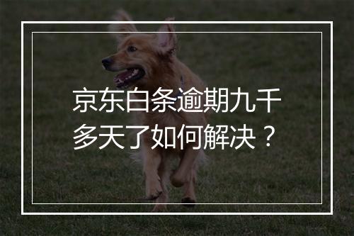京东白条逾期九千多天了如何解决？
