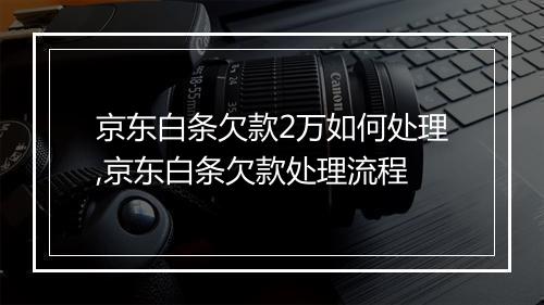 京东白条欠款2万如何处理,京东白条欠款处理流程