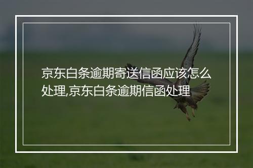 京东白条逾期寄送信函应该怎么处理,京东白条逾期信函处理