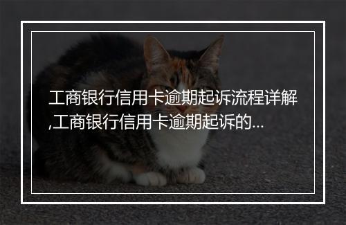工商银行信用卡逾期起诉流程详解,工商银行信用卡逾期起诉的具体步骤