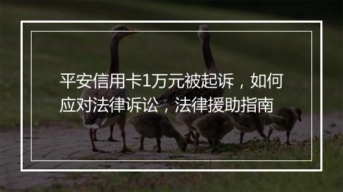 平安信用卡1万元被起诉，如何应对法律诉讼，法律援助指南
