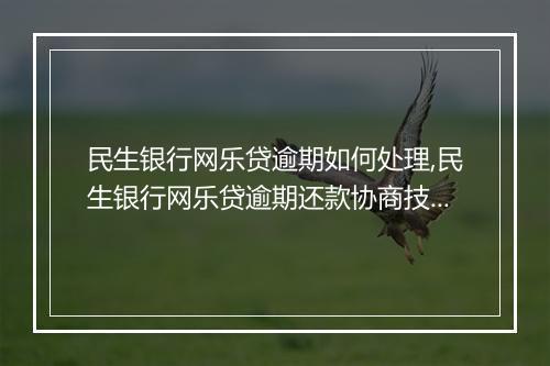 民生银行网乐贷逾期如何处理,民生银行网乐贷逾期还款协商技巧