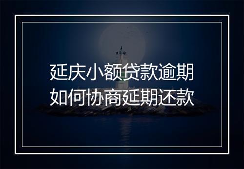 延庆小额贷款逾期如何协商延期还款