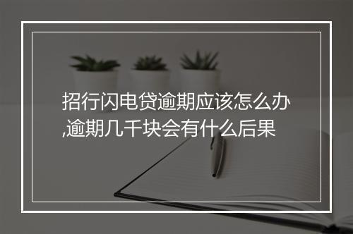 招行闪电贷逾期应该怎么办,逾期几千块会有什么后果