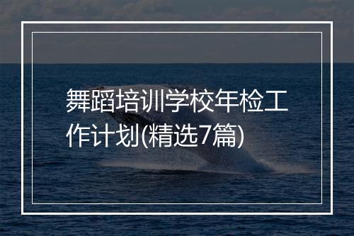 舞蹈培训学校年检工作计划(精选7篇)