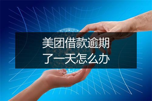 美团借款逾期了一天怎么办