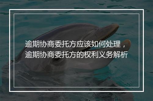 逾期协商委托方应该如何处理，逾期协商委托方的权利义务解析
