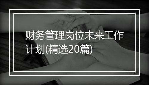 财务管理岗位未来工作计划(精选20篇)
