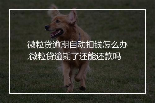 微粒贷逾期自动扣钱怎么办,微粒贷逾期了还能还款吗