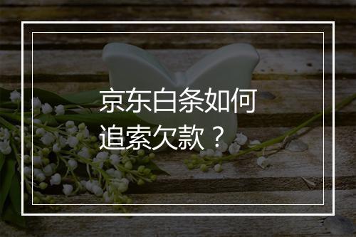 京东白条如何追索欠款？