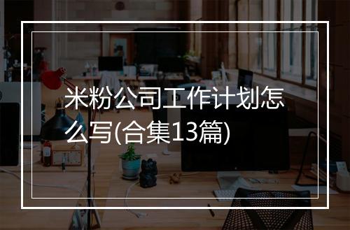 米粉公司工作计划怎么写(合集13篇)