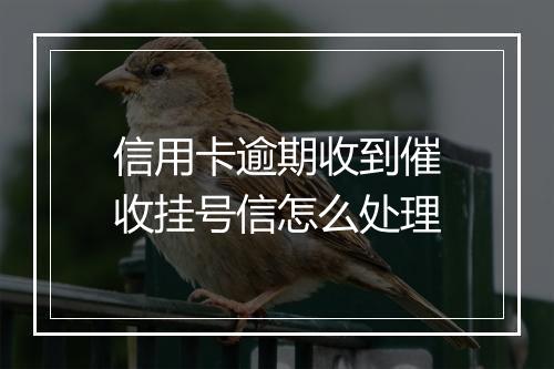 信用卡逾期收到催收挂号信怎么处理
