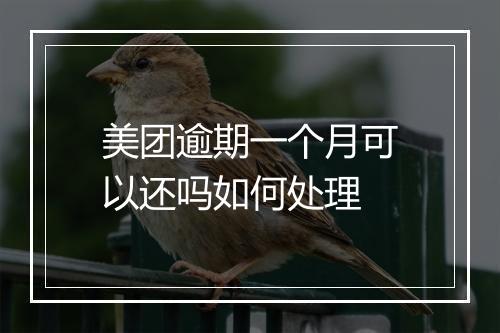 美团逾期一个月可以还吗如何处理