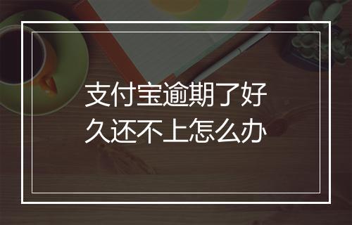 支付宝逾期了好久还不上怎么办