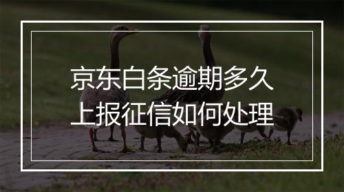 京东白条逾期多久上报征信如何处理