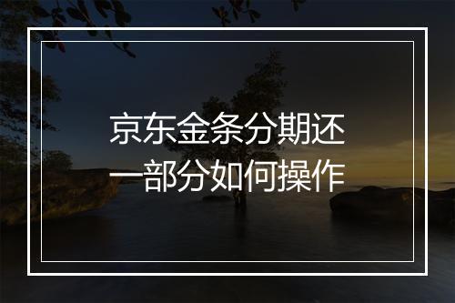 京东金条分期还一部分如何操作