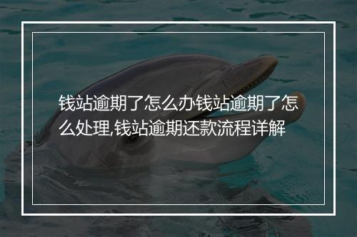 钱站逾期了怎么办钱站逾期了怎么处理,钱站逾期还款流程详解