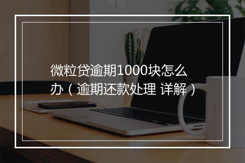微粒贷逾期1000块怎么办（逾期还款处理 详解）