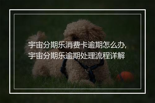 宇宙分期乐消费卡逾期怎么办,宇宙分期乐逾期处理流程详解