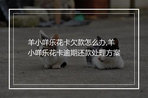 羊小咩乐花卡欠款怎么办,羊小咩乐花卡逾期还款处理方案