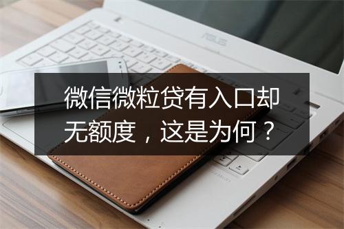 微信微粒贷有入口却无额度，这是为何？