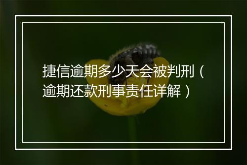 捷信逾期多少天会被判刑（逾期还款刑事责任详解）