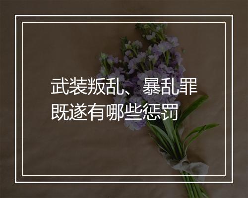 武装叛乱、暴乱罪既遂有哪些惩罚