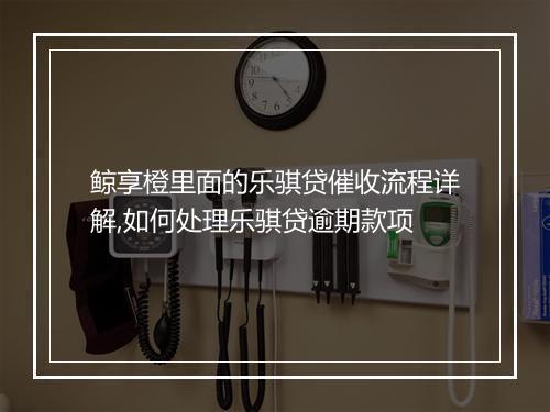 鲸享橙里面的乐骐贷催收流程详解,如何处理乐骐贷逾期款项