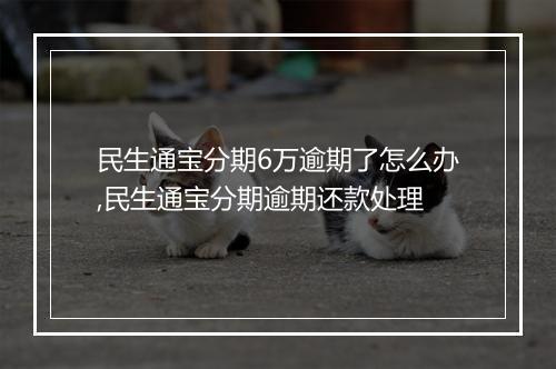 民生通宝分期6万逾期了怎么办,民生通宝分期逾期还款处理