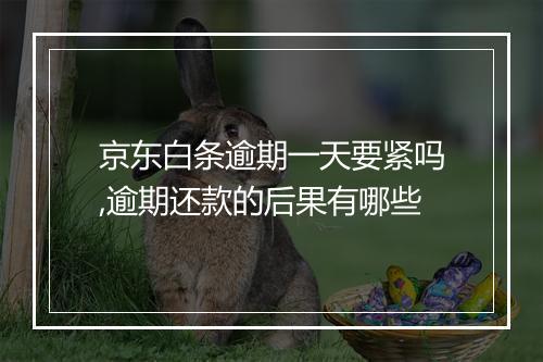 京东白条逾期一天要紧吗,逾期还款的后果有哪些