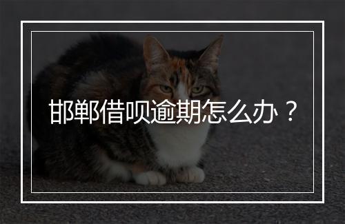 邯郸借呗逾期怎么办？