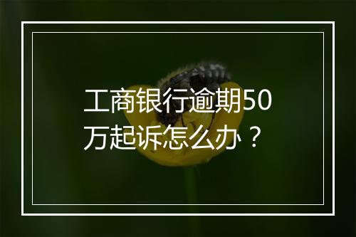 工商银行逾期50万起诉怎么办？