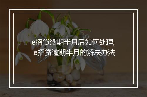 e招贷逾期半月后如何处理, e招贷逾期半月的解决办法