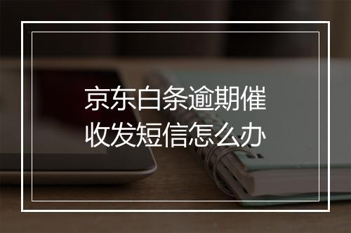 京东白条逾期催收发短信怎么办