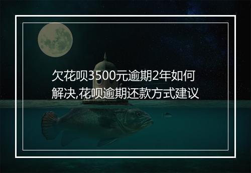 欠花呗3500元逾期2年如何解决,花呗逾期还款方式建议