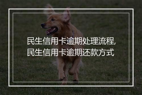 民生信用卡逾期处理流程,民生信用卡逾期还款方式