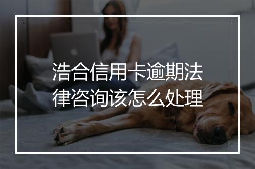 浩合信用卡逾期法律咨询该怎么处理
