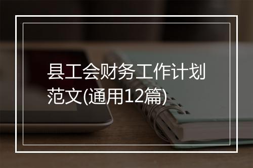 县工会财务工作计划范文(通用12篇)