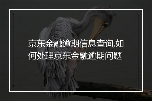 京东金融逾期信息查询,如何处理京东金融逾期问题
